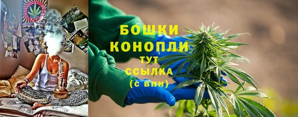 PSILOCYBIN Кукмор