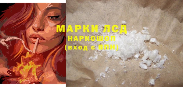 PSILOCYBIN Кукмор